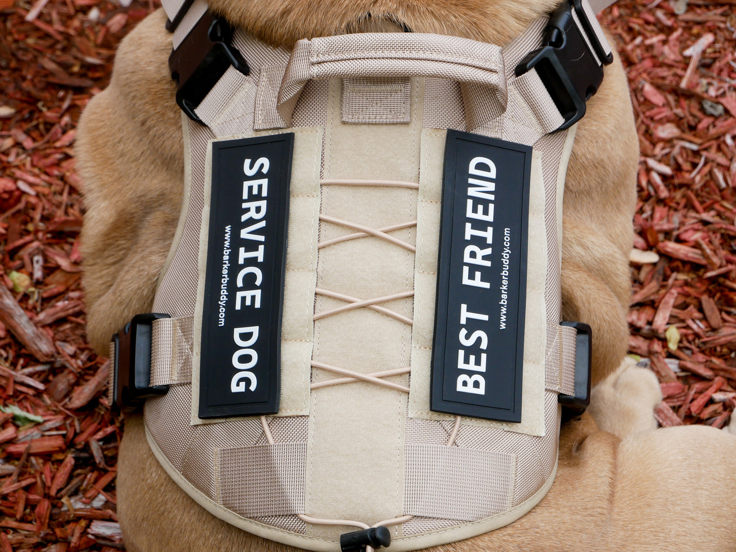 Soft Rubber Velcro Patch- Best Friend
