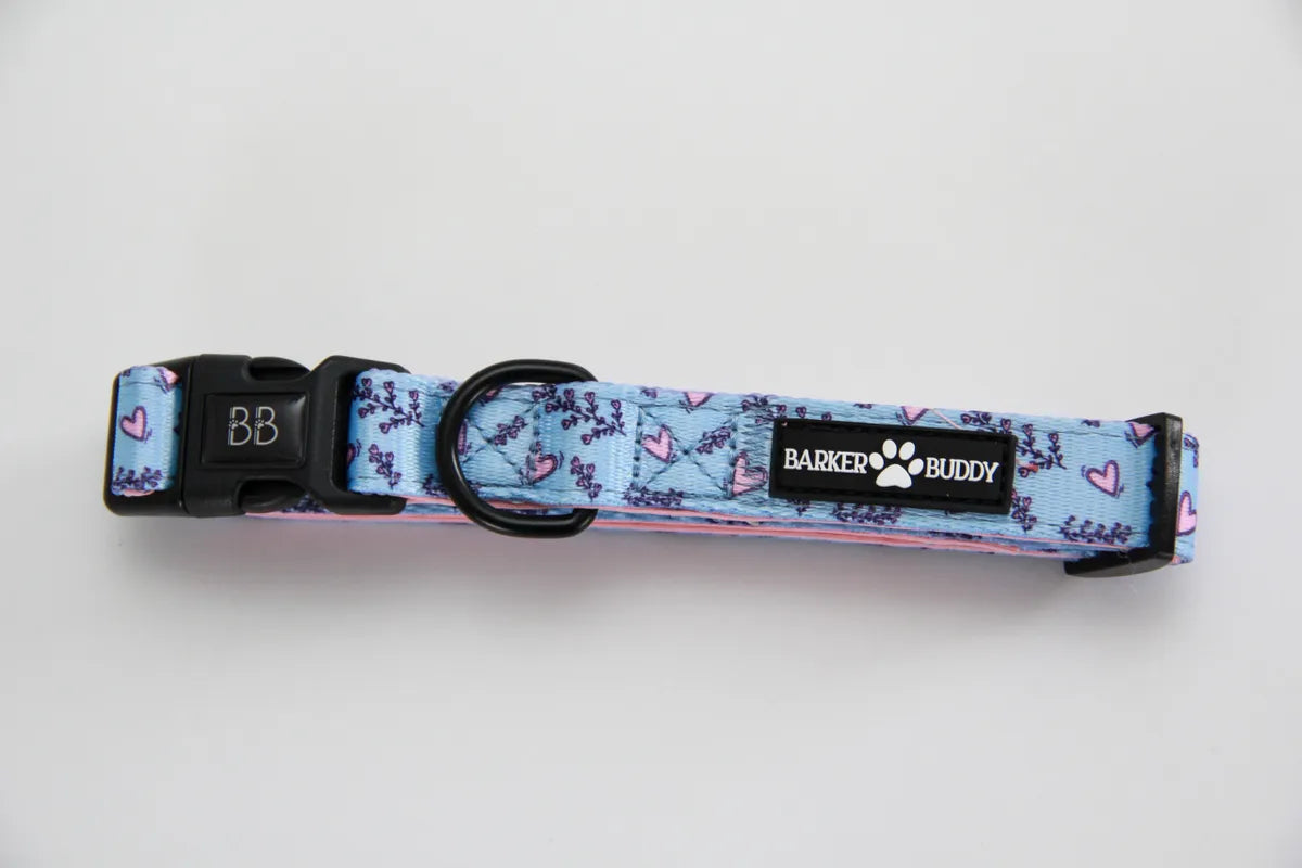 Wild Hearts Collar