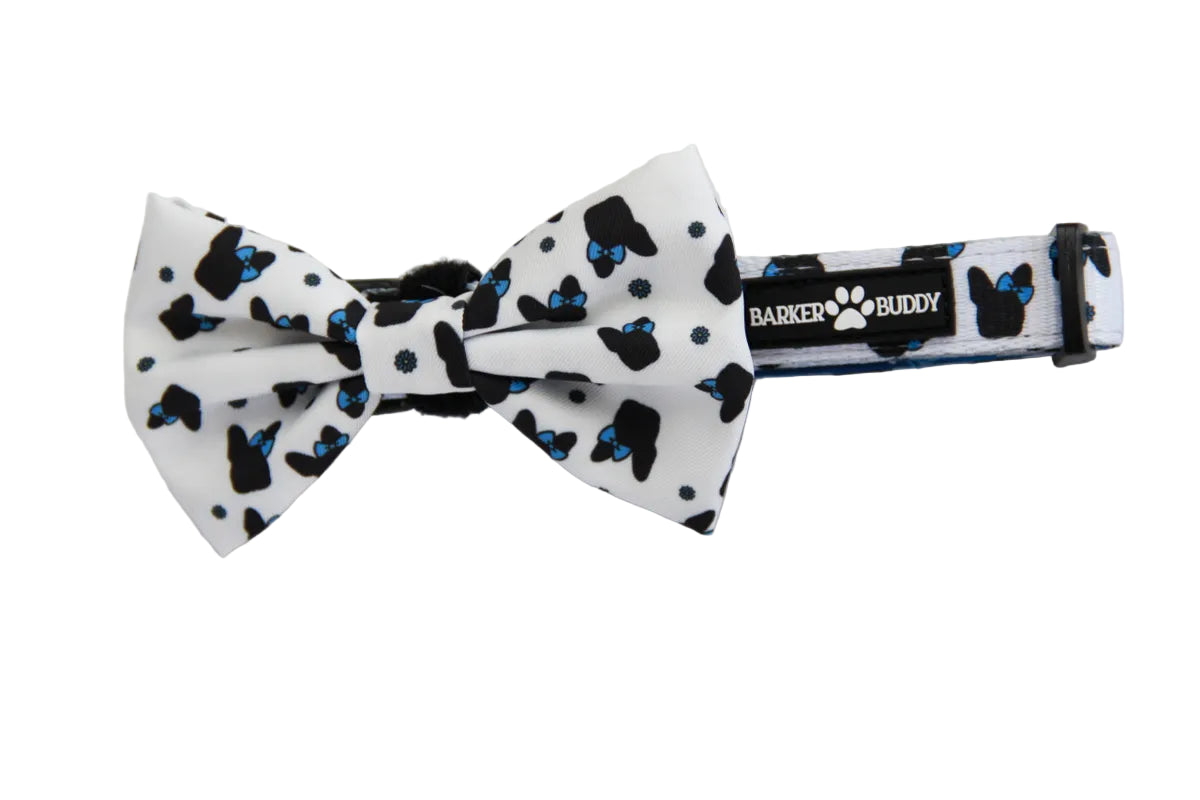 Lil Ms Daisy Collar