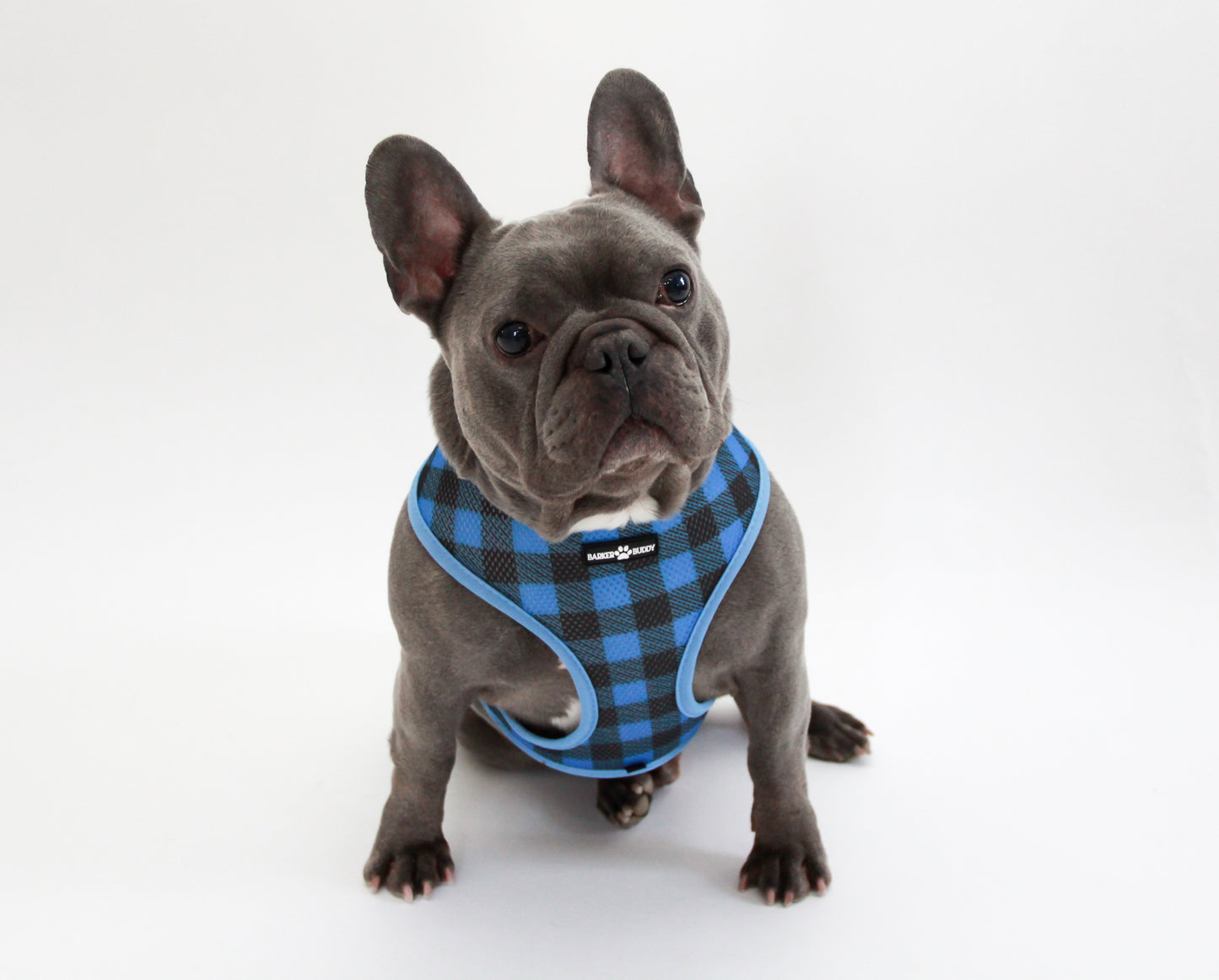 The Gentlemen Reversible Harness