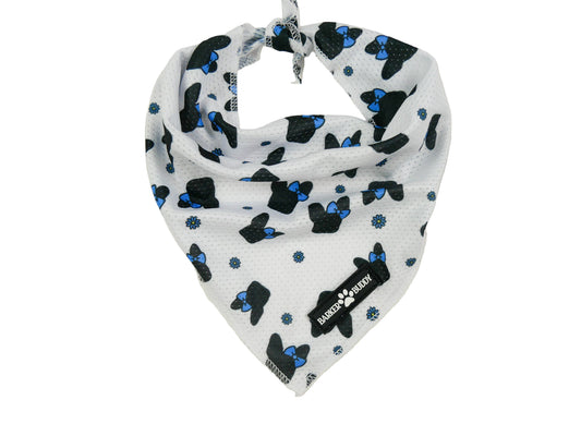 Lil Ms Daisy Bandana