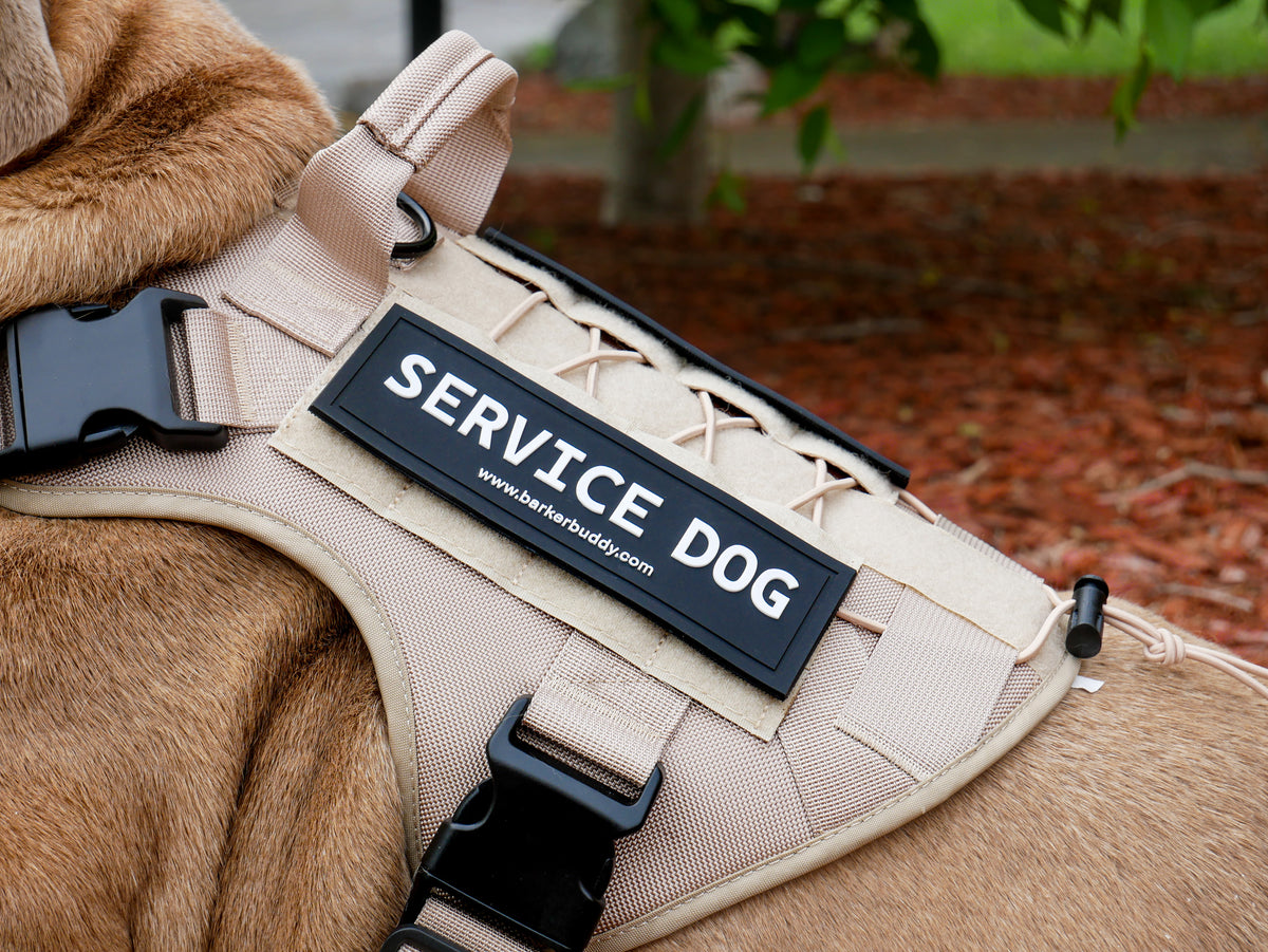 Soft Rubber Velcro Patch- Service Dog