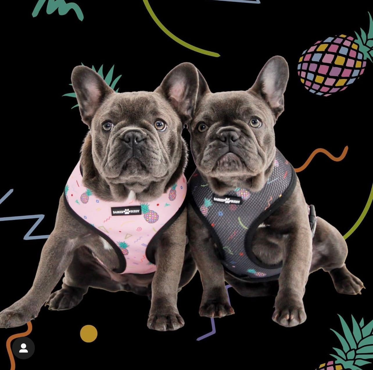 Are the 90s Retro? Reversible Harness