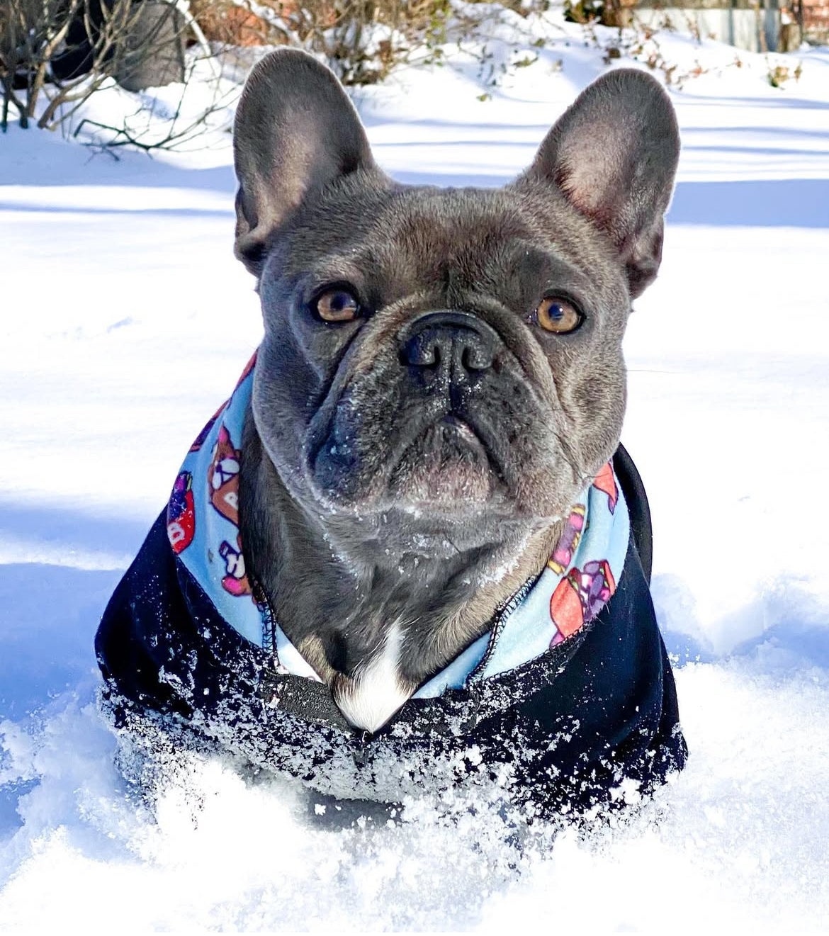 Frenchie Fry Sweater