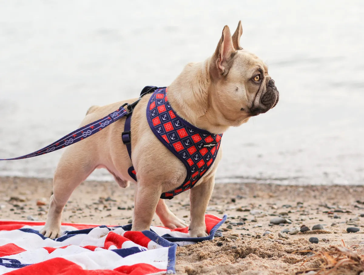 The Captain's Harness