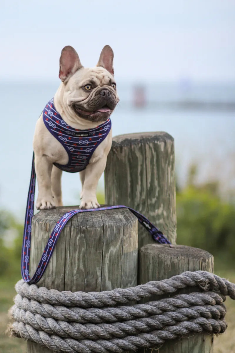 The Captain's Harness