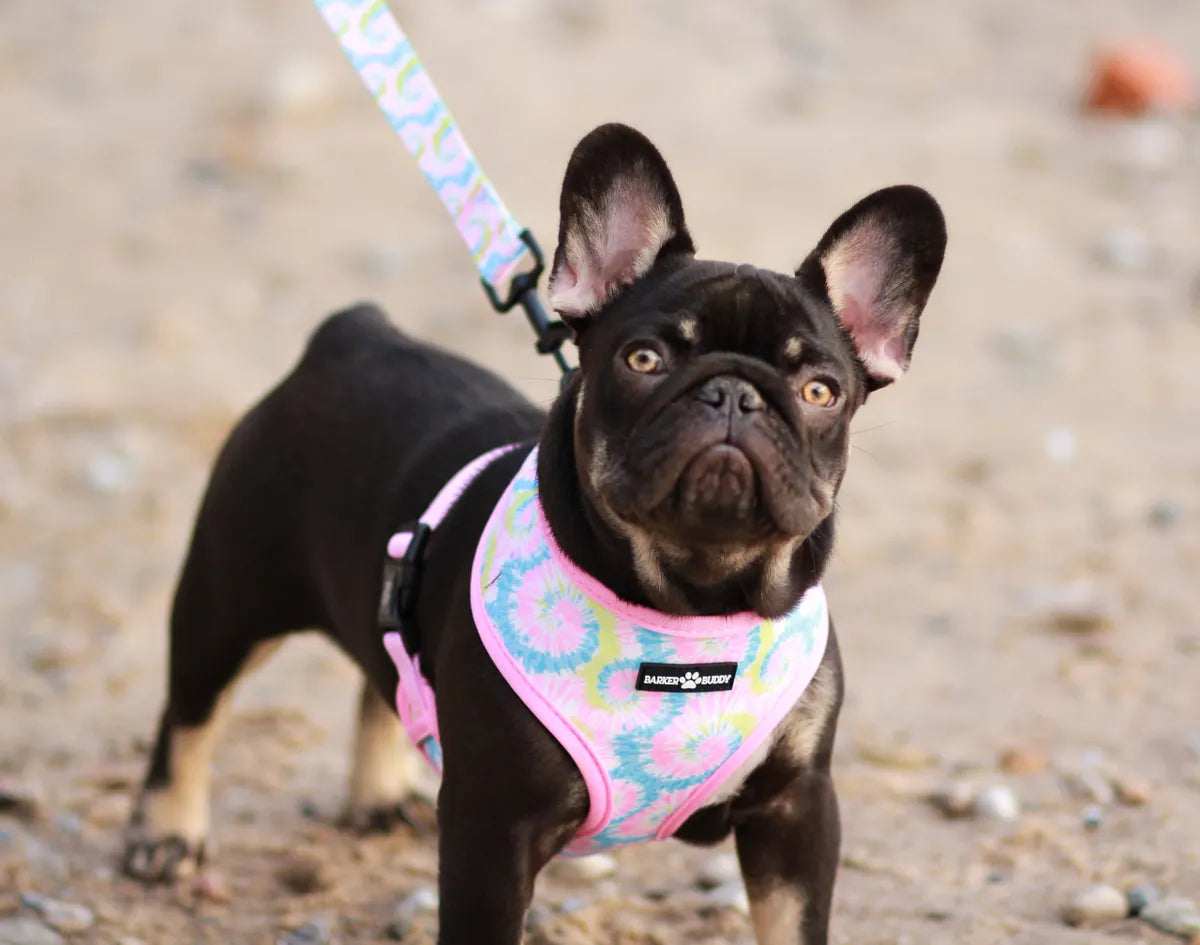 Ride or Tie-Dye Leash