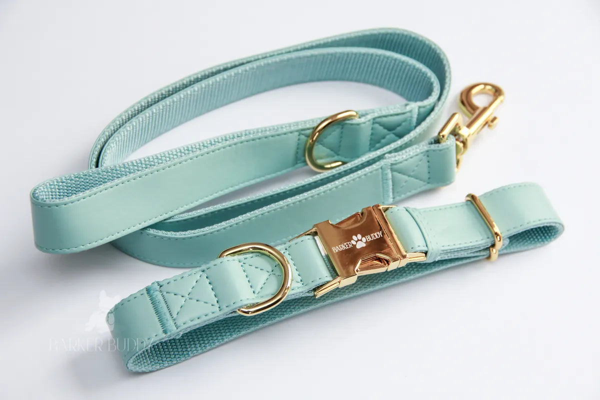Mint Leather Collar & Leash Set