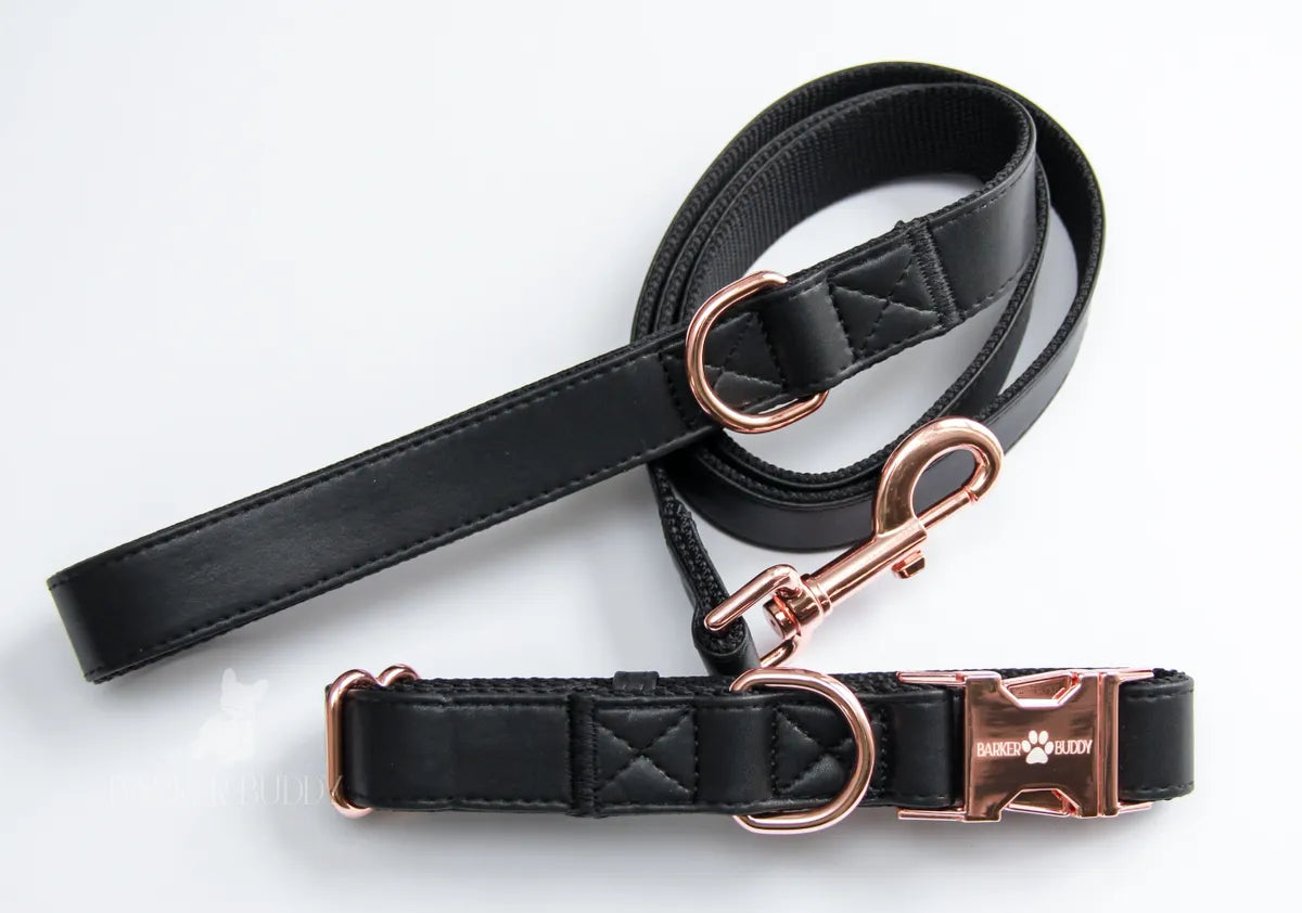 Black Leather Collar & Leash Set