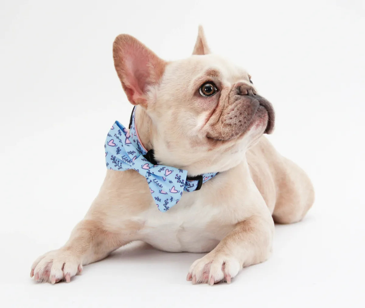 Wild Hearts Bowtie