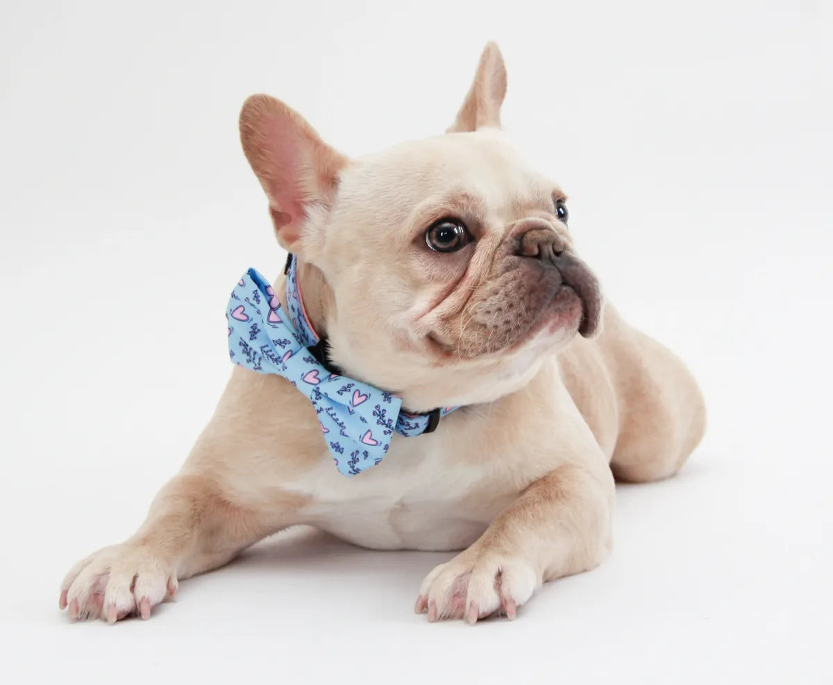 Wild Hearts Bowtie