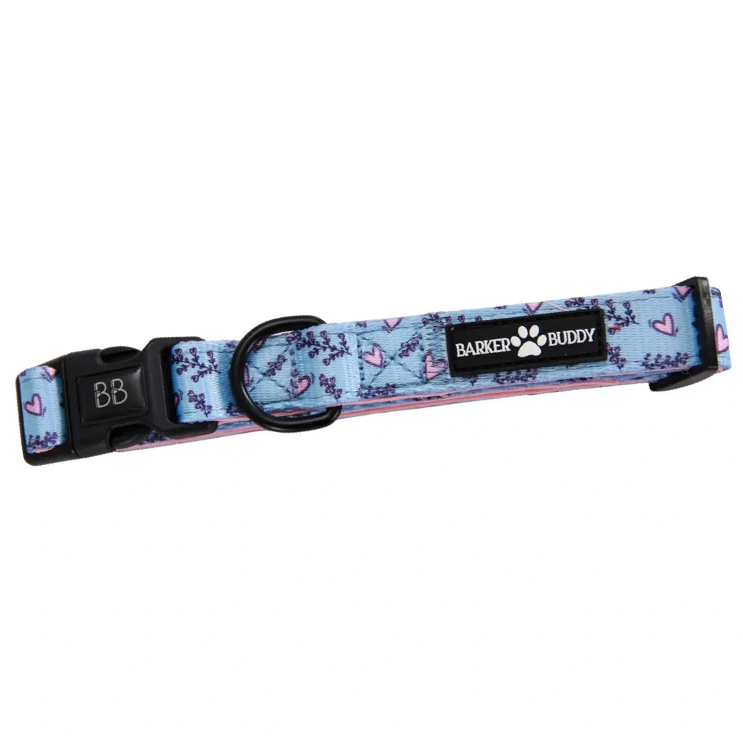 Wild Hearts Collar