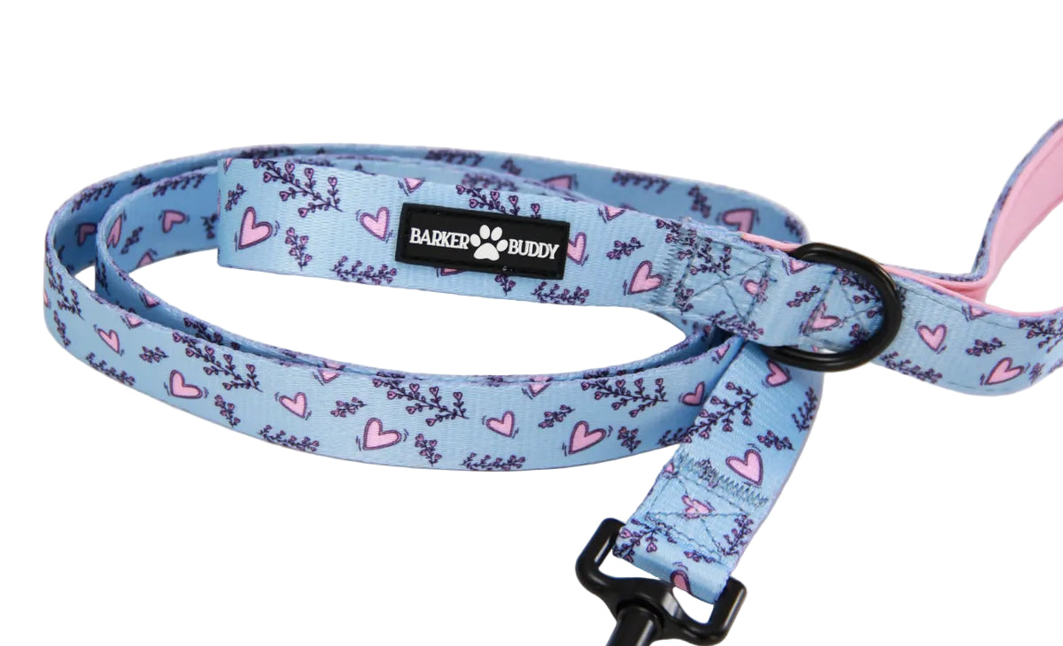 Wild Hearts Leash