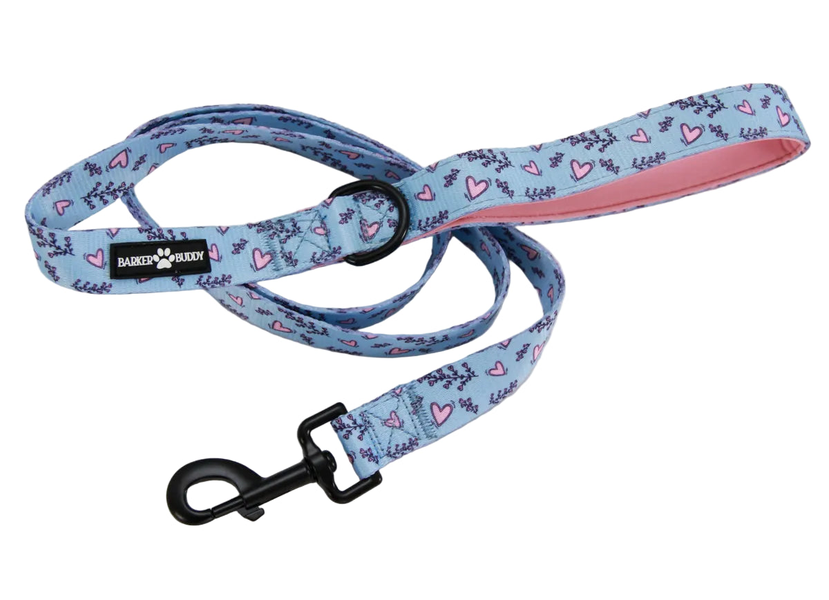 Wild Hearts Leash