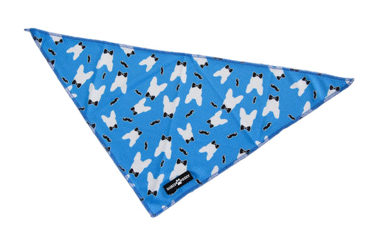 The gentlemen Bandana