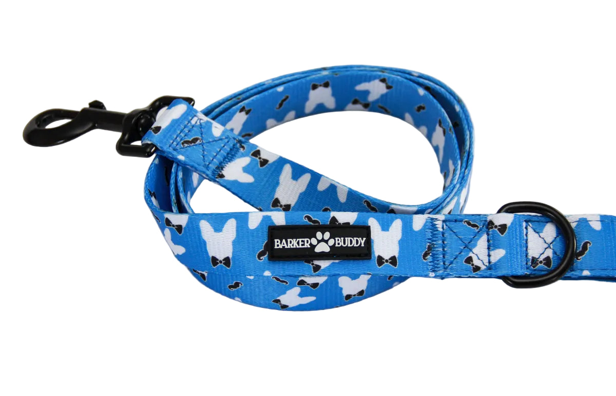 The Gentlemen Leash