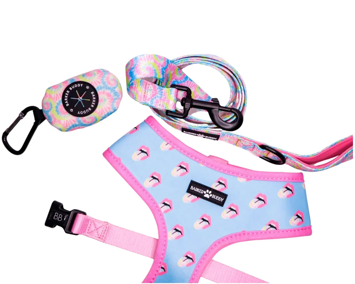 Ride or Tie-Dye Leash