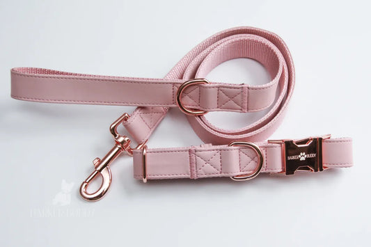 Pink Leather Collar & Leash Set