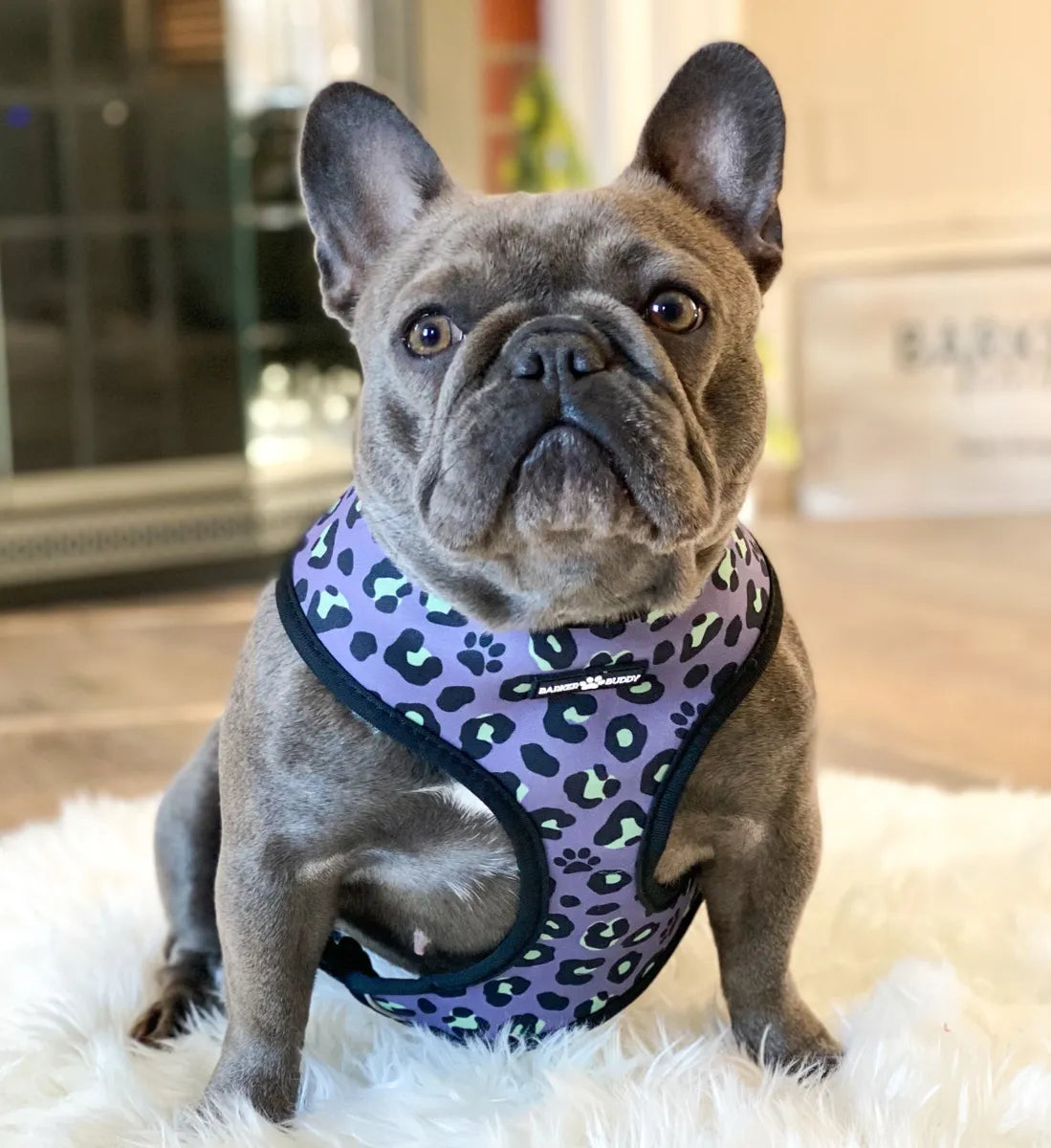 Wild Palms Reversible Harness