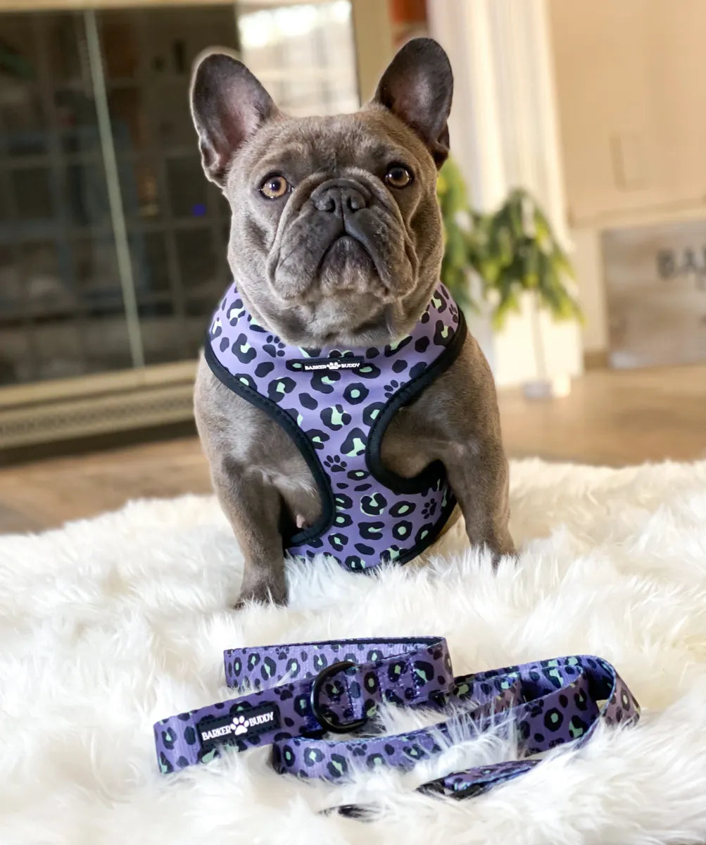 Wild Palms Reversible Harness
