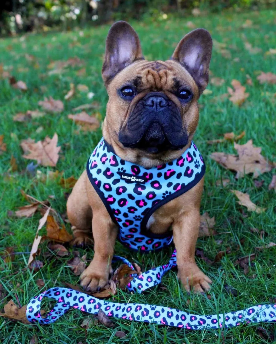 Wild Jungle Reversible Harness