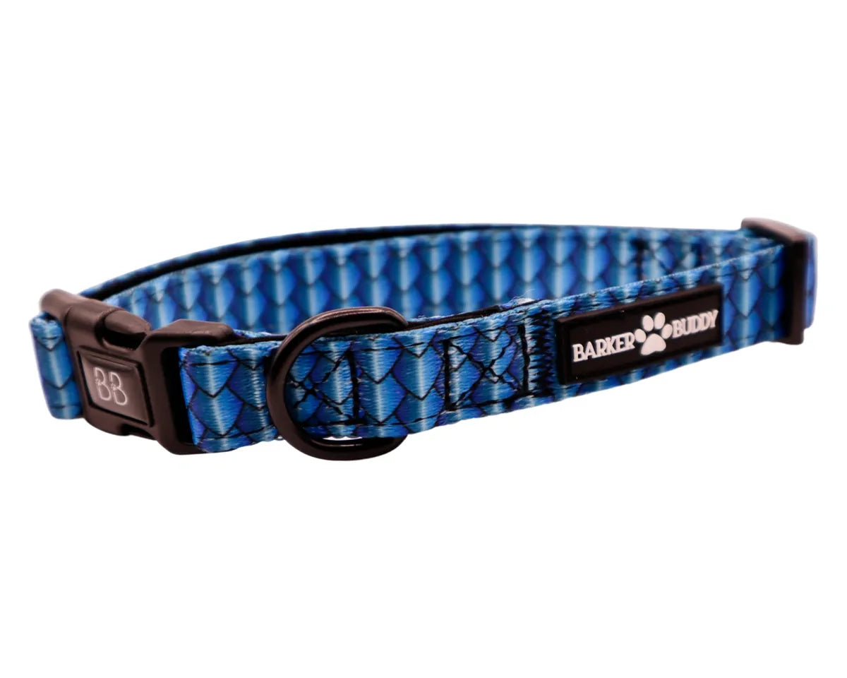 Frenchie Dragon Collar
