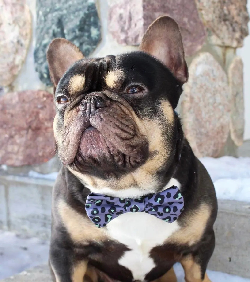 Wild Palms Bow Tie