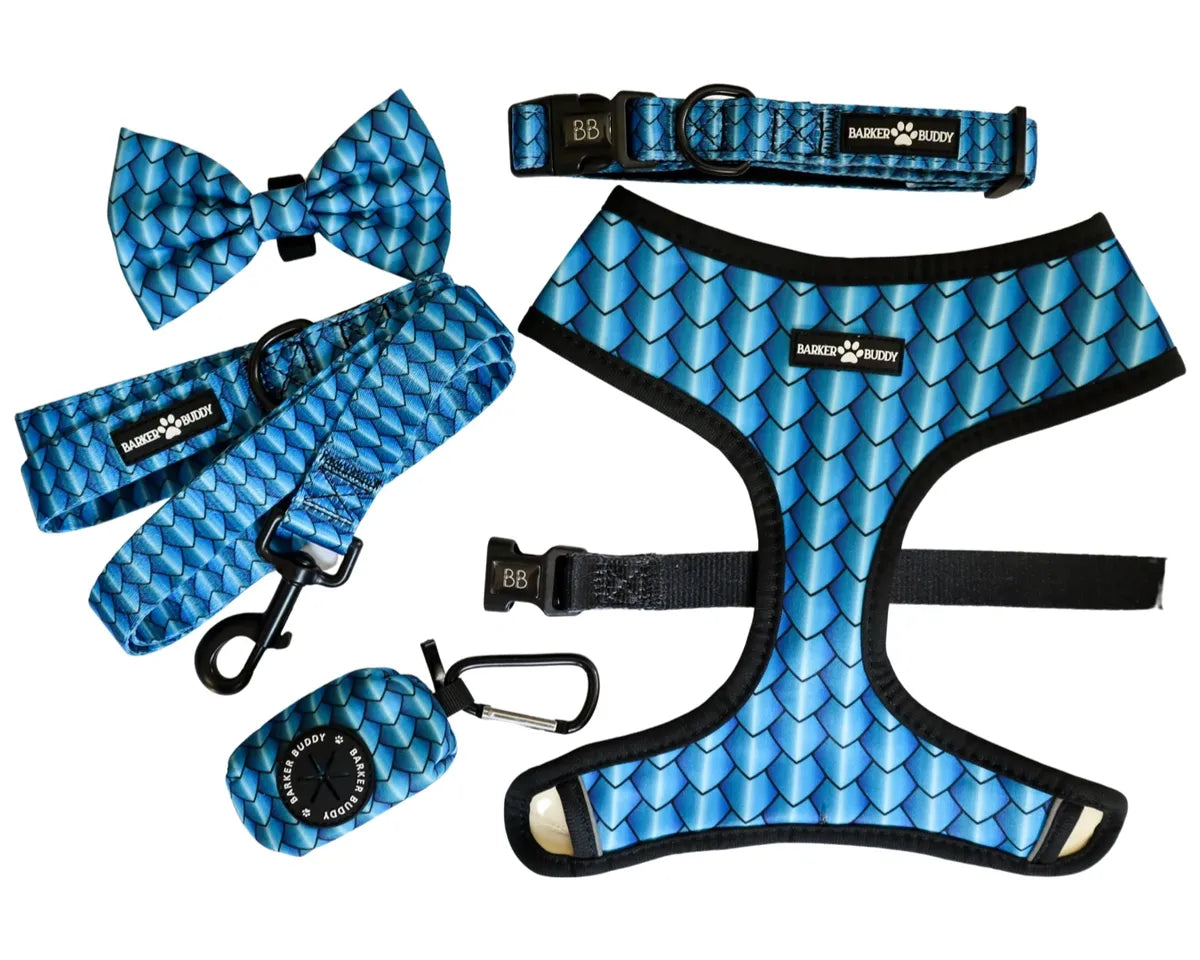Frenchie Dragon Reversible Harness