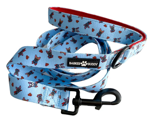 Super Buddy Leash